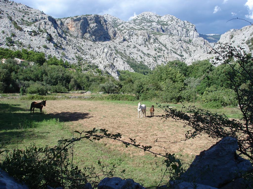 Holiday Home Paklenica Starigrad Paklenica Kamer foto