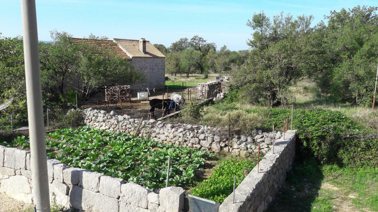 Holiday Home Paklenica Starigrad Paklenica Buitenkant foto
