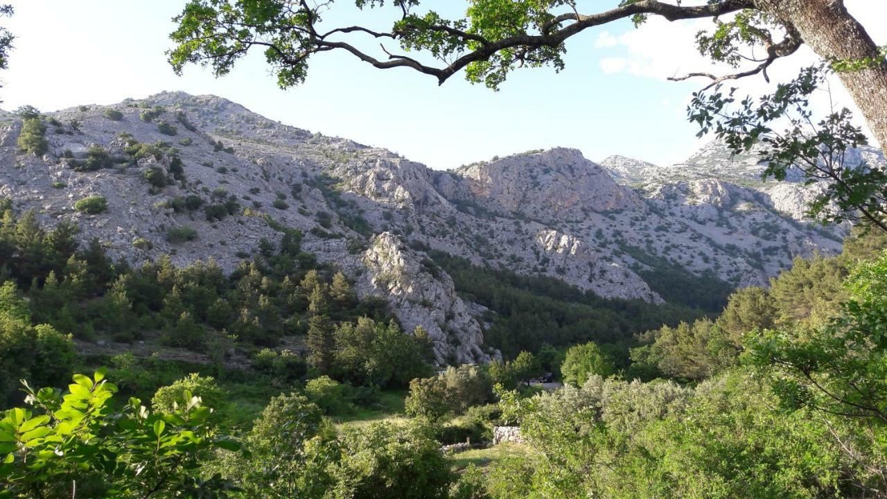 Holiday Home Paklenica Starigrad Paklenica Buitenkant foto